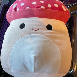 Meet your Posher, Ray